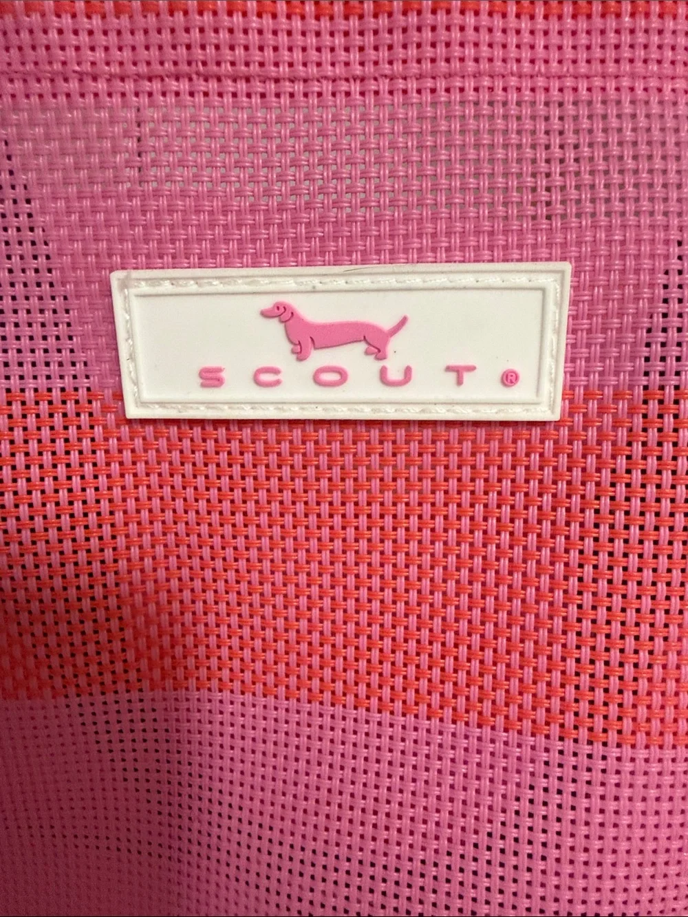 Scout bubblegum watermelon